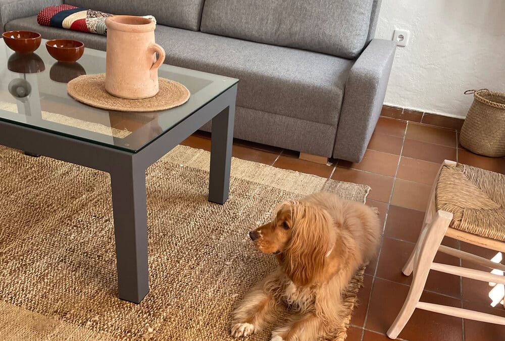 Alojamientos con Mascotas en Córdoba