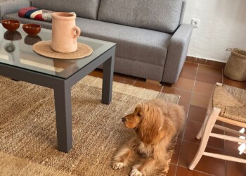 Alojamientos con Mascotas en Córdoba